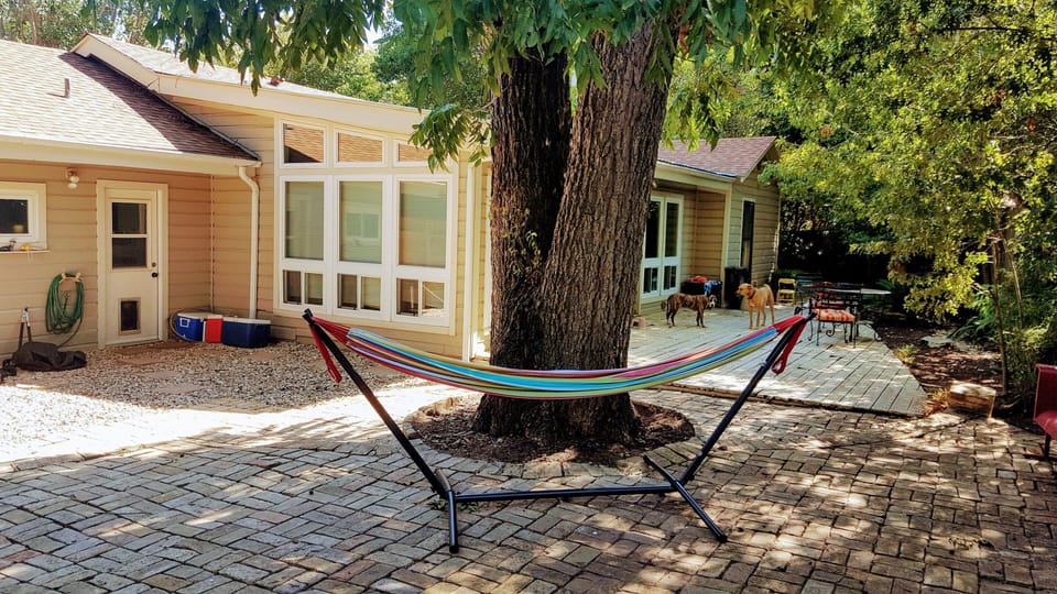 Hammock and back porch