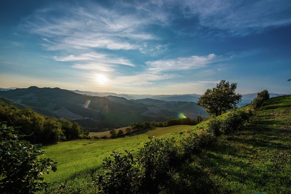 View from Holiday Home [summer]