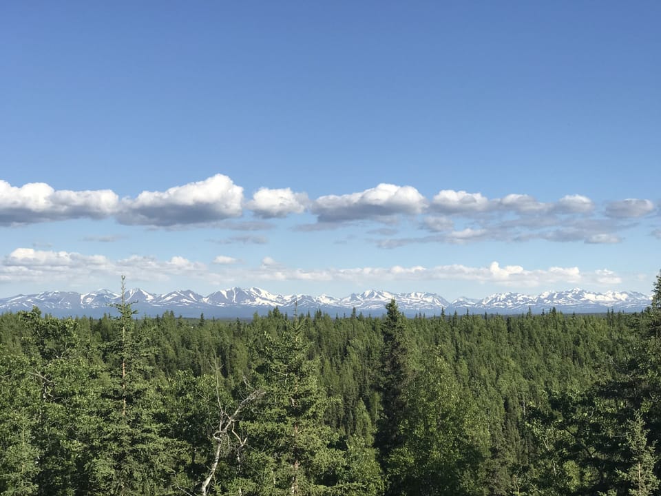 View of the Kenai National Wildlife Refuge from the deck.