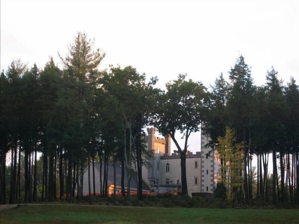 View from Driveway