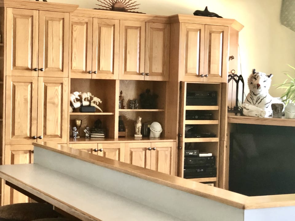 Partial view of pit area with cabinet space, entertainment center, seating above