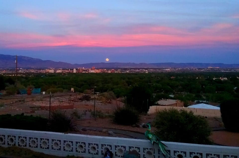 View from property