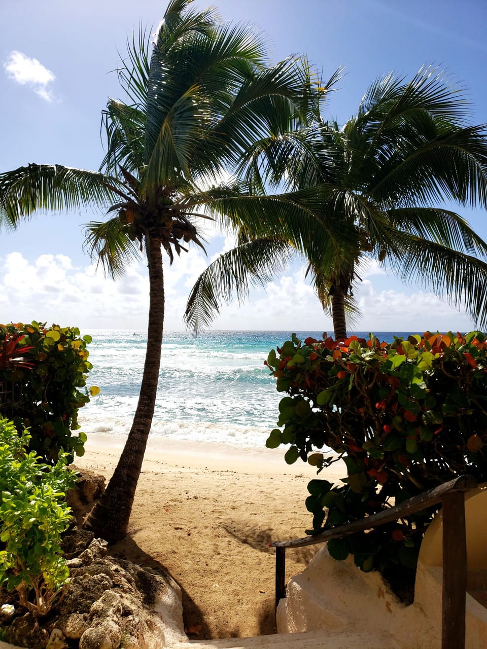 Mistle Cove, St. Lawrence Gap, Christ Church, Barbados 