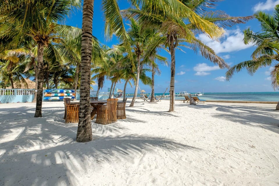 Great palm trees with shade when you need it.  Lots of beach.