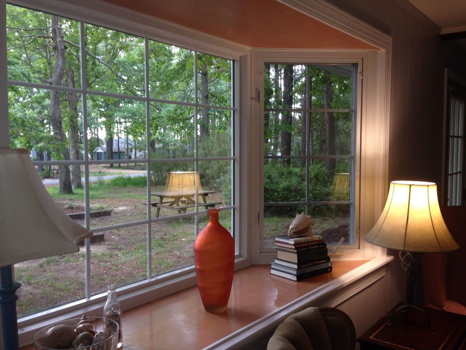 A quiet and relaxing road with an abundance of deer, birds, squirrels, and crab.