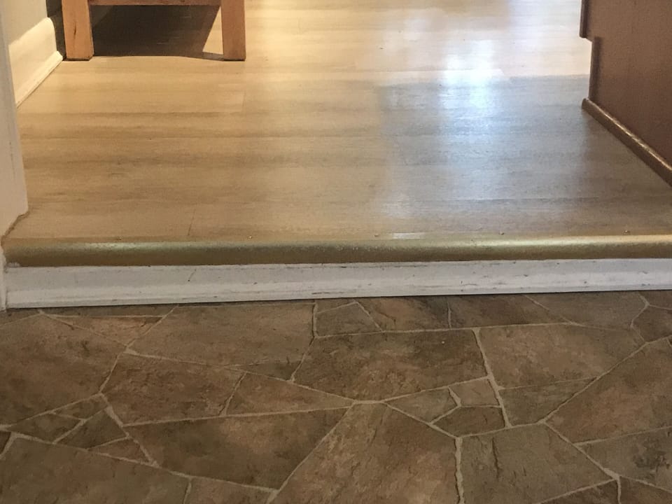 There is one 4" step in the house as you enter the kitchen from the project room