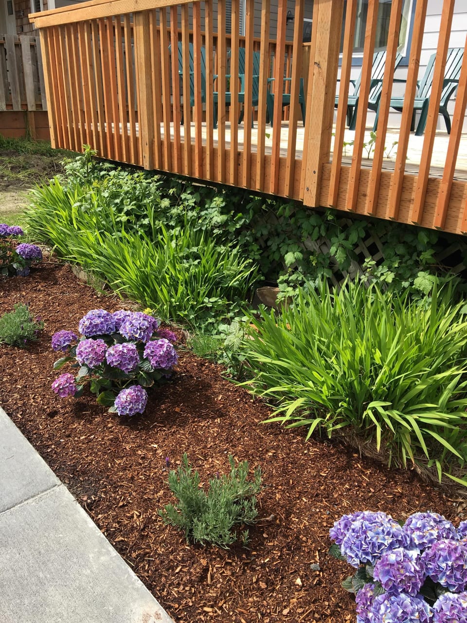 Blossoms by the deck