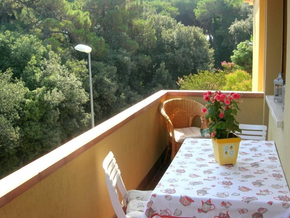 Terrace / Balcony
