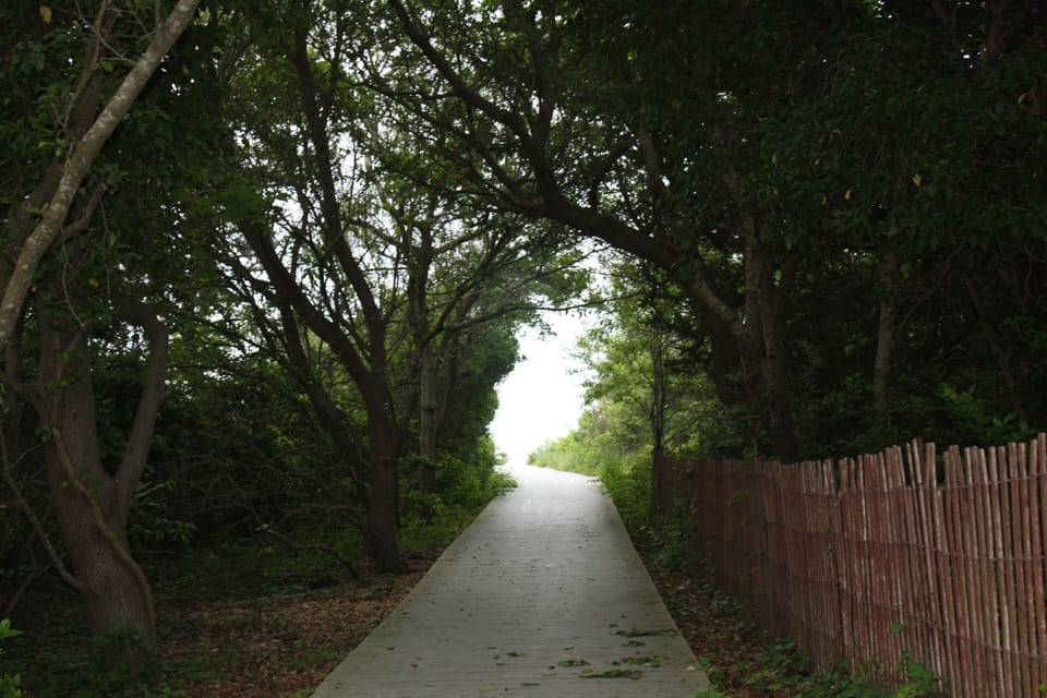 Just steps to beautiful foliage covered walkway to beach.