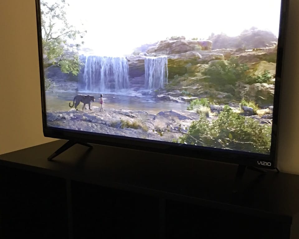 Television