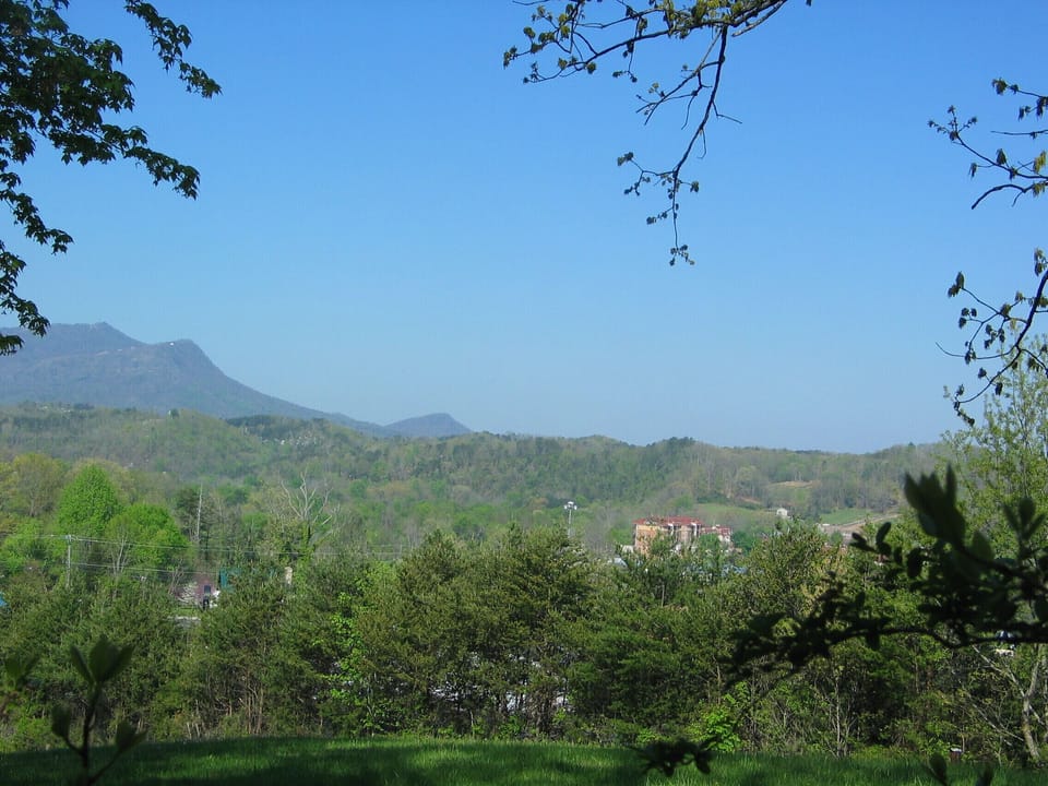 view