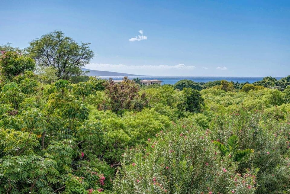 A peak of the Pacific from your private lanai