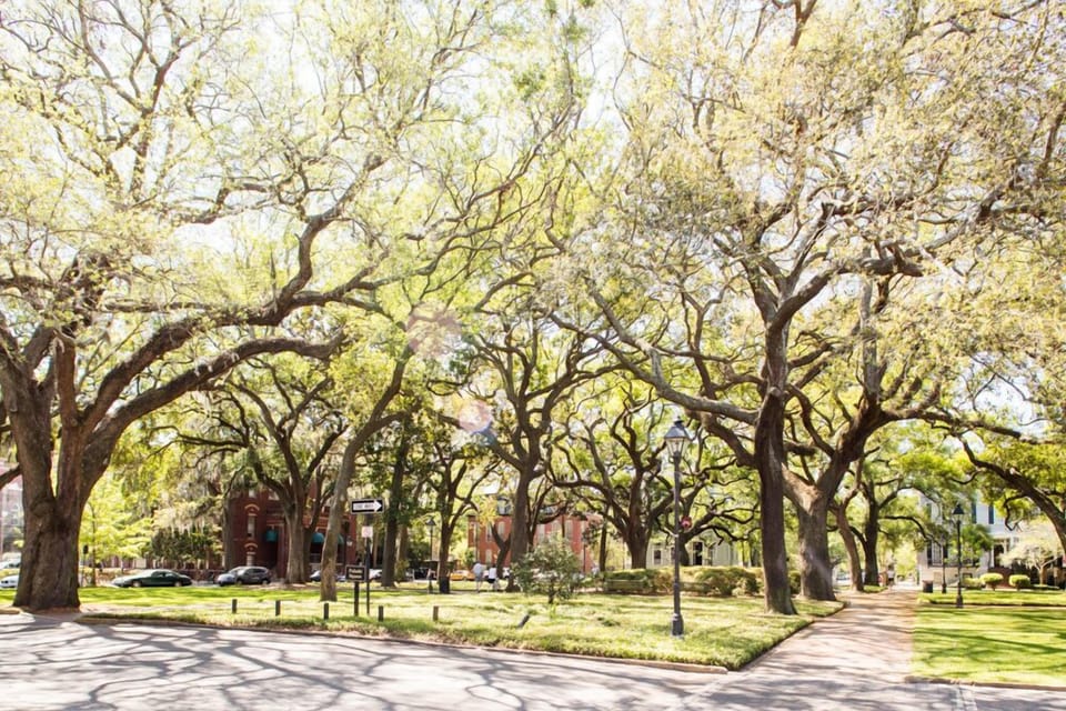 View of nearby Pulaski Square.