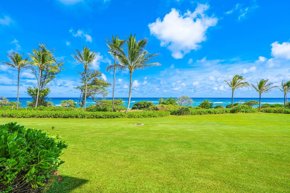 Oceanfront Views from Private Lanai, Living Area, Kitchen