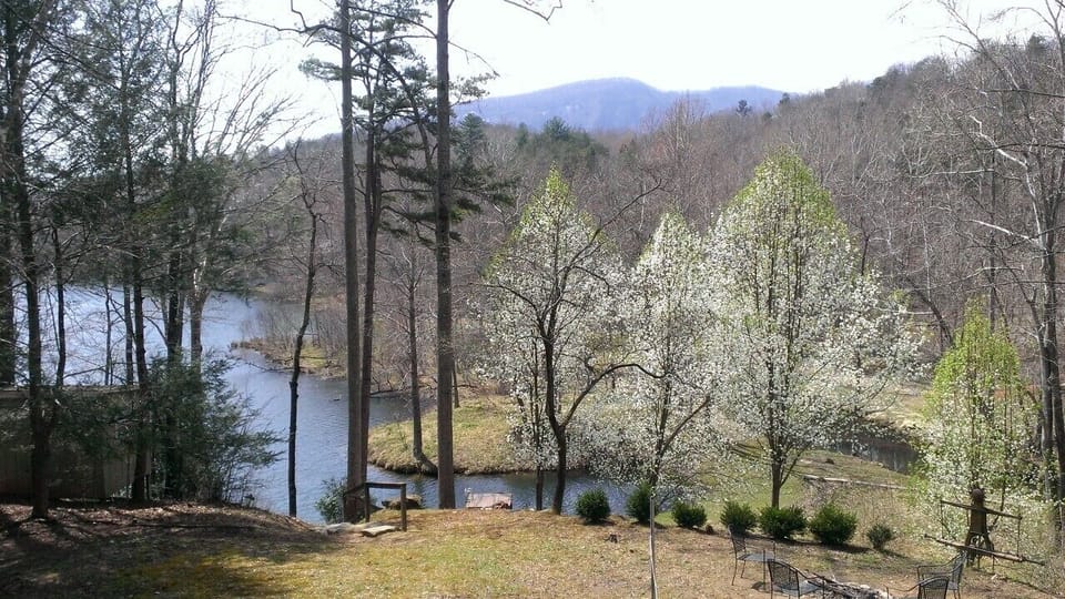 The start of Spring at Bliss