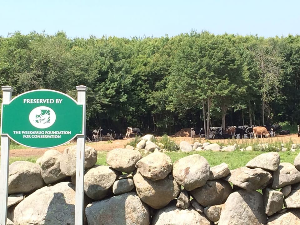 Land preserve across the street.