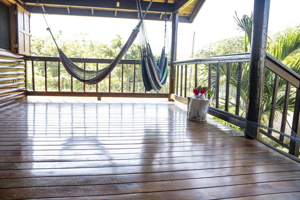 Hammock lounging is the best