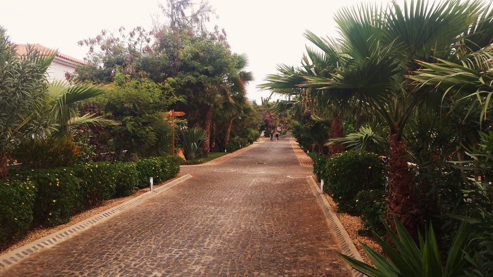 walkway to beach 