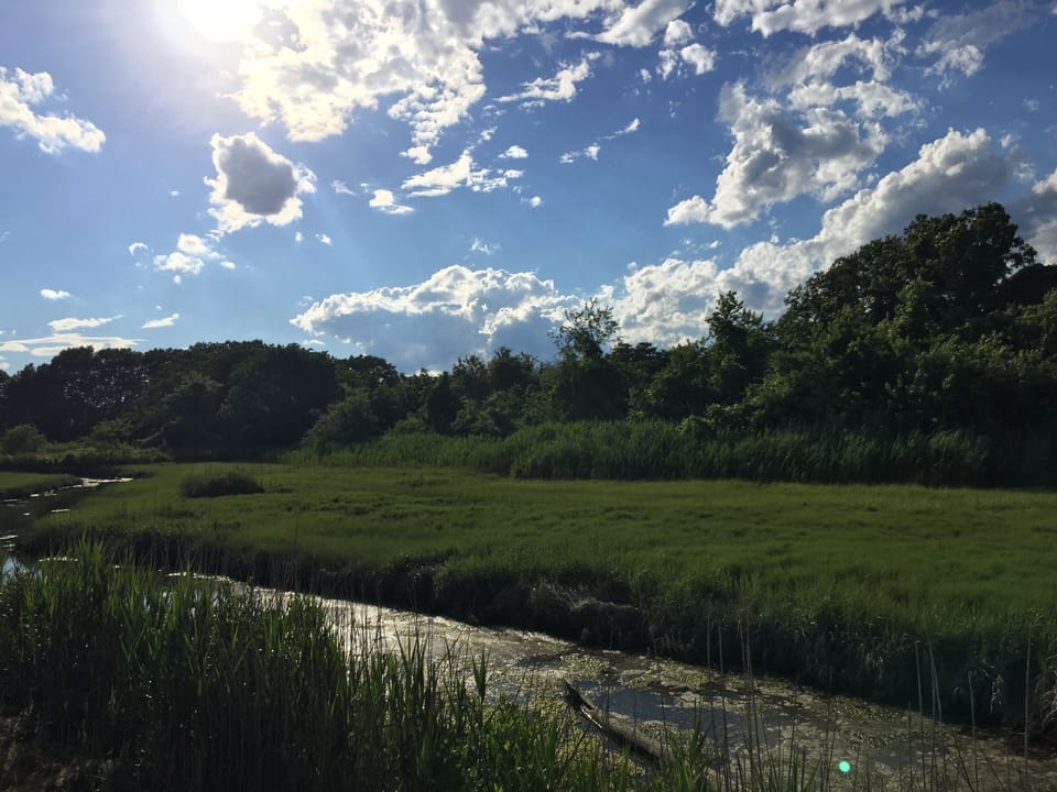 Nearby Riparian Waterway - Great spot for evening walks :)