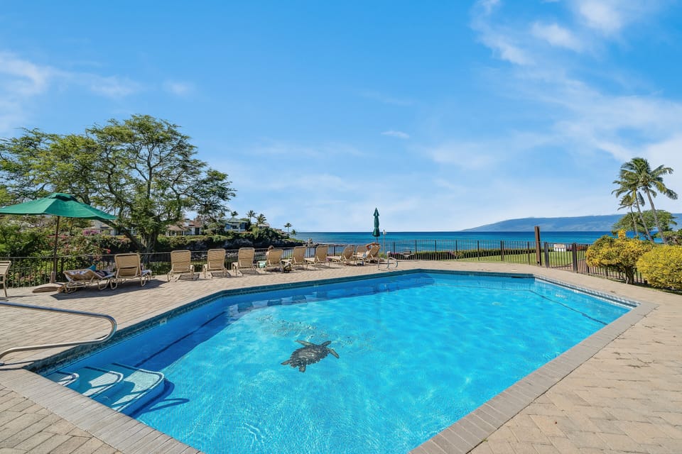 Beautiful beachfront pool area offering stunning ocean views and plenty of space to unwind