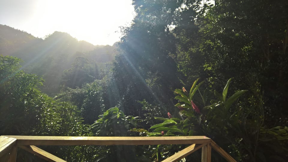 Morning sun, view from entrance door