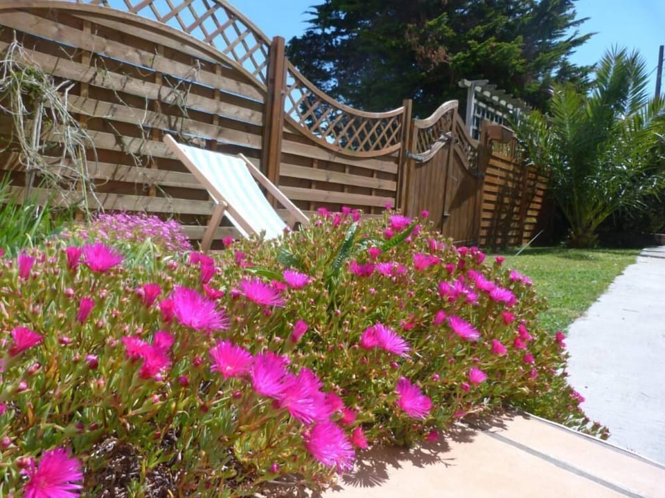 Garden, Park