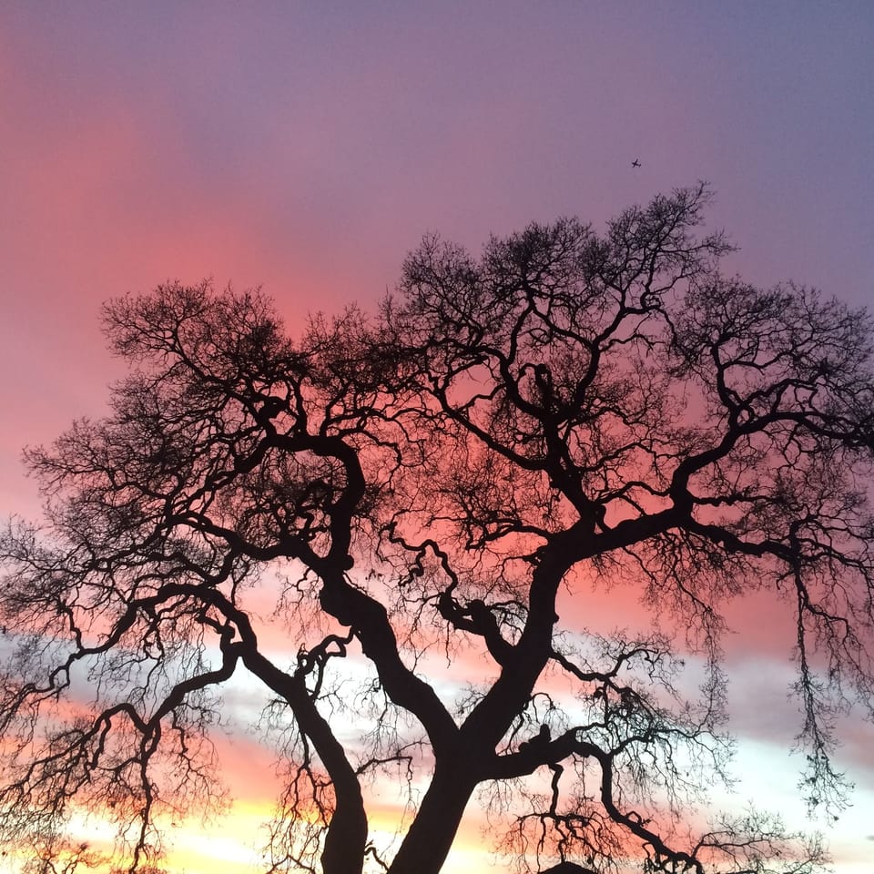Beautiful sunset views. 