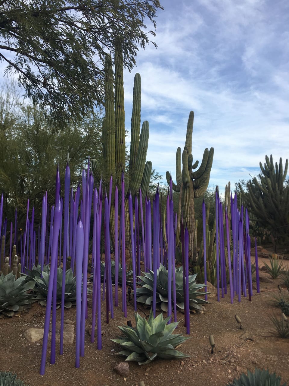 Botanical Gardens