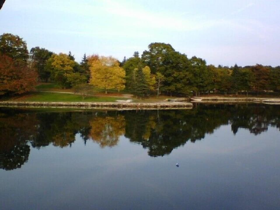 Barrett Park, located directly across from our cabin and a short walk away