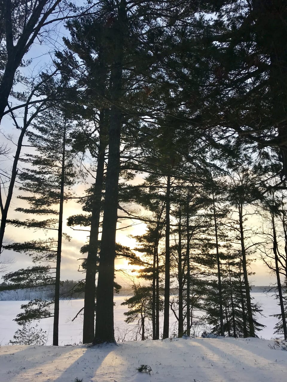 Winter is here & the lake is freezing over...