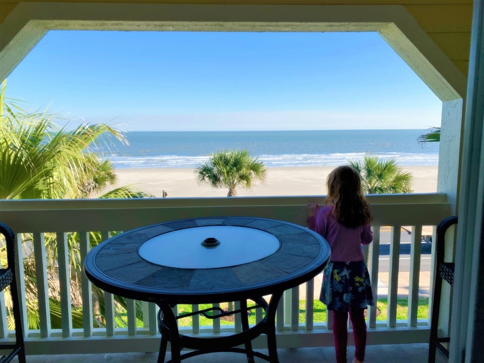 Amazing View at the Seawall! Child friendly!