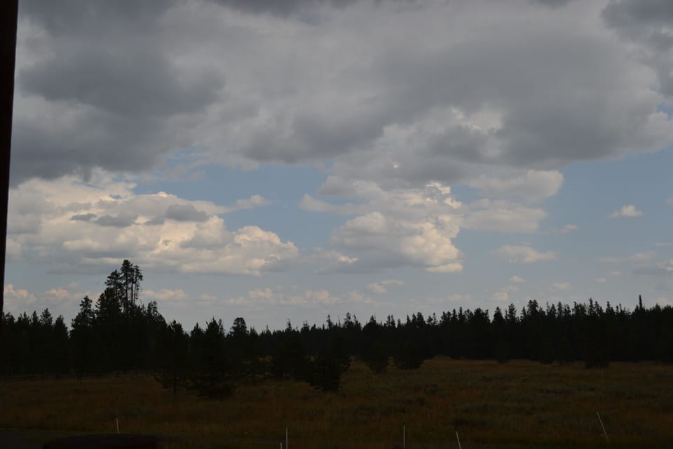 View from property