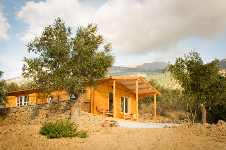 Wooden Eco-house among olive trees and high mountains, distant sea view