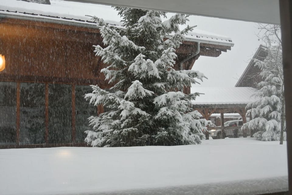 View from the patio in the snow 