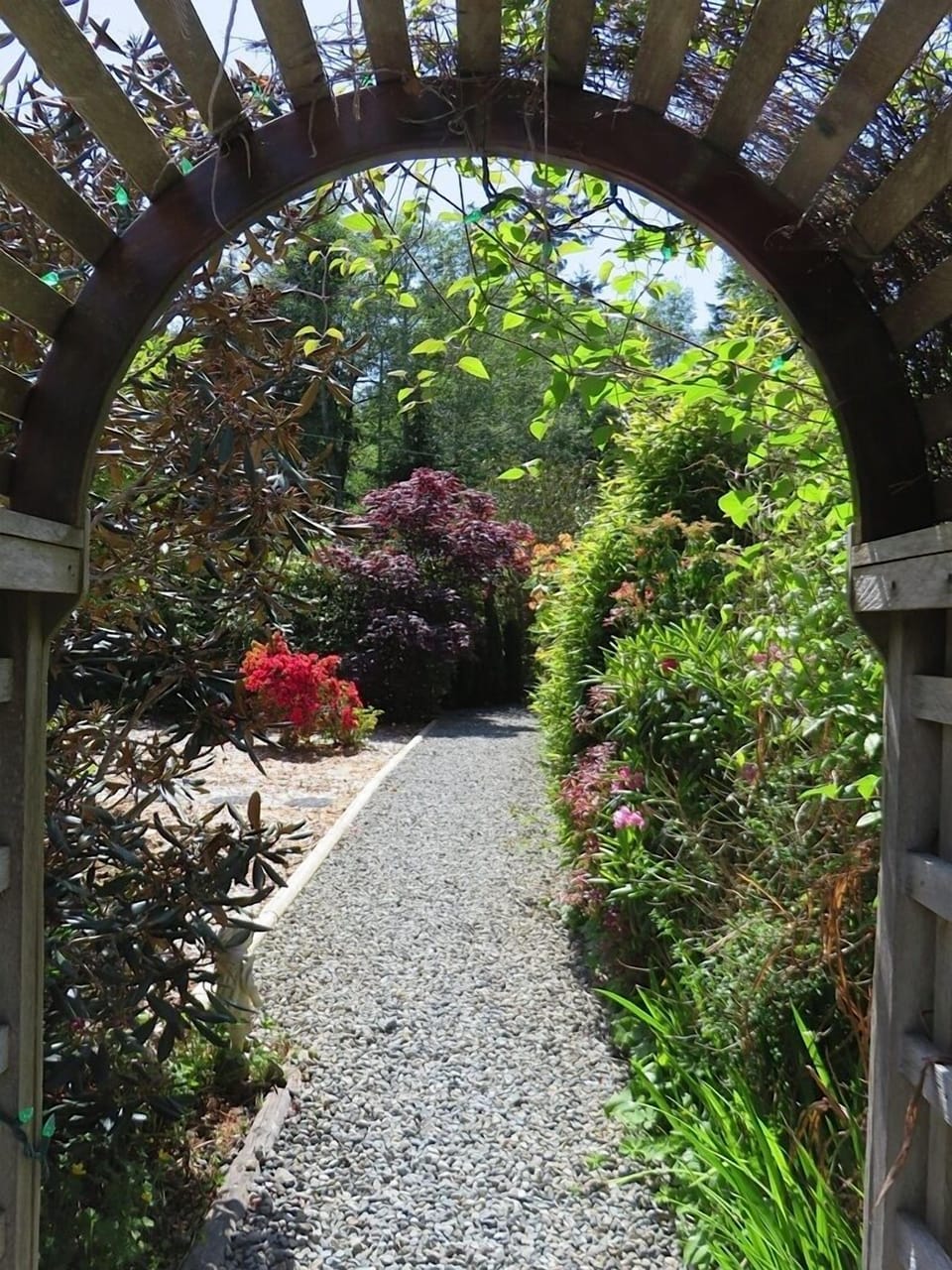 Path from parking to Cedar Shack, about 100' a luggage cart is under bay window