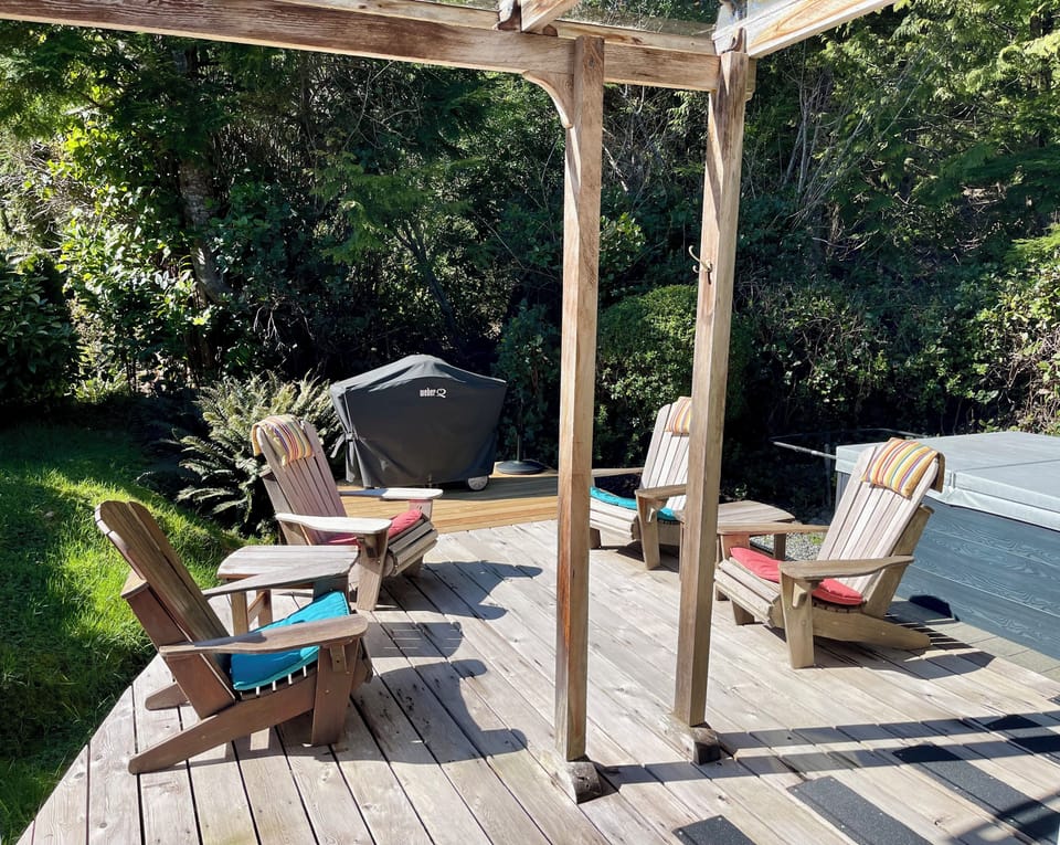 Backyard pation with private hot tub, BBQ, hot outdoor shower. 