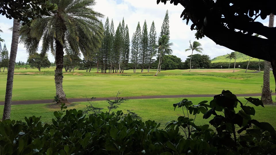 "Backyard" golf course view. 