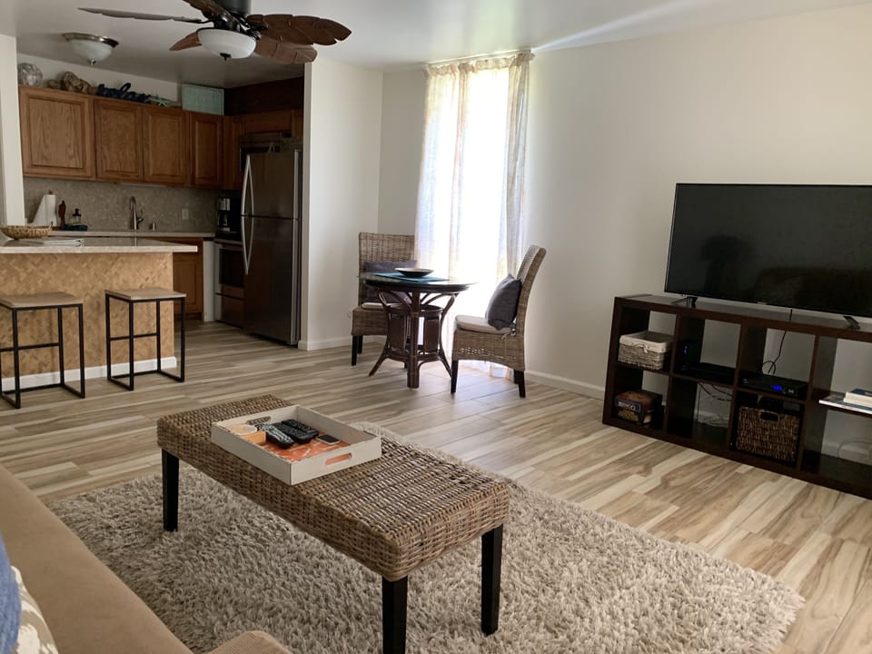 View from pull out couch/living room to kitchen with new countertops.  