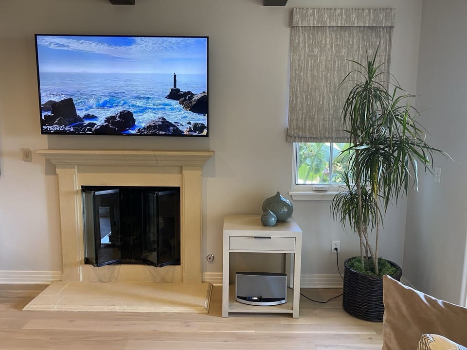 Living room TV and fireplace