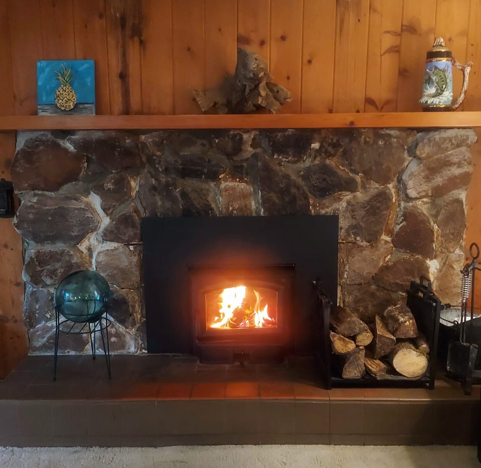 Wood stove with adjustable fan - wood provided -
