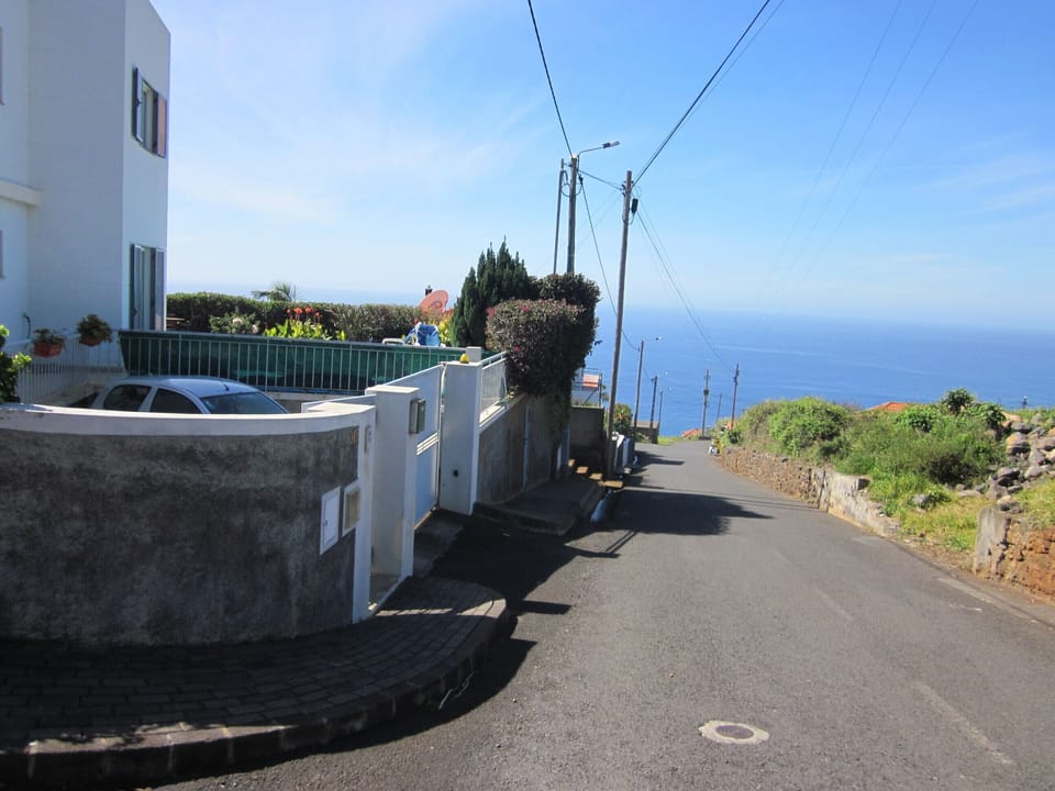 Street in front of house.