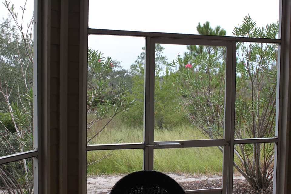 screened in back patio overlooking bon secour wildlife refuge