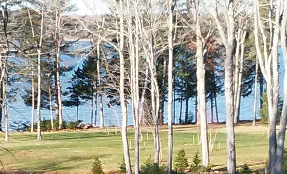 Beautiful Water View from the deck.