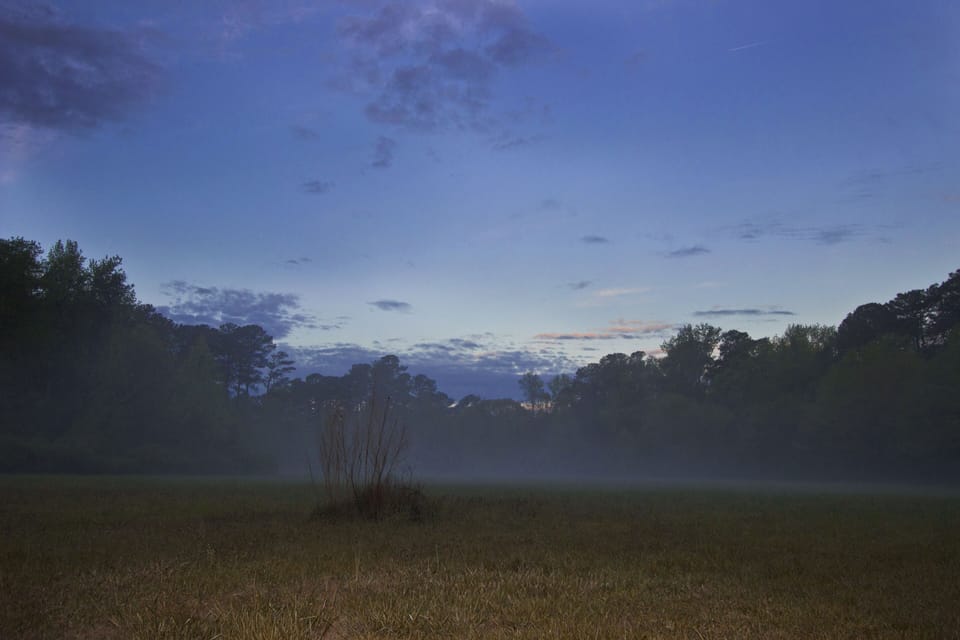 The field next to the house in the morning. Deer can often be seen here. 