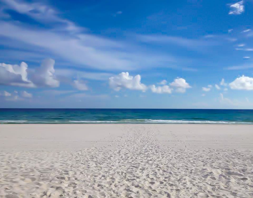 You could be here!