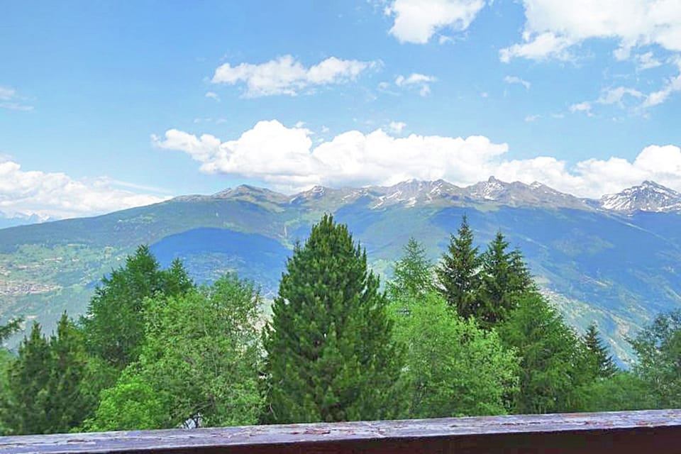 View from Holiday Home [summer]