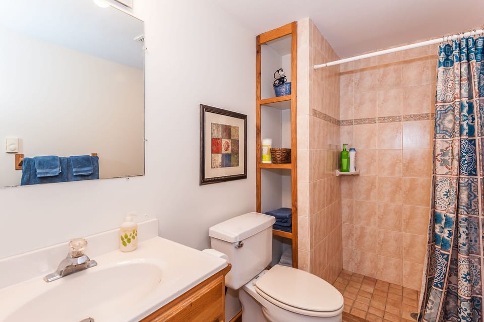 Downstairs bathroom