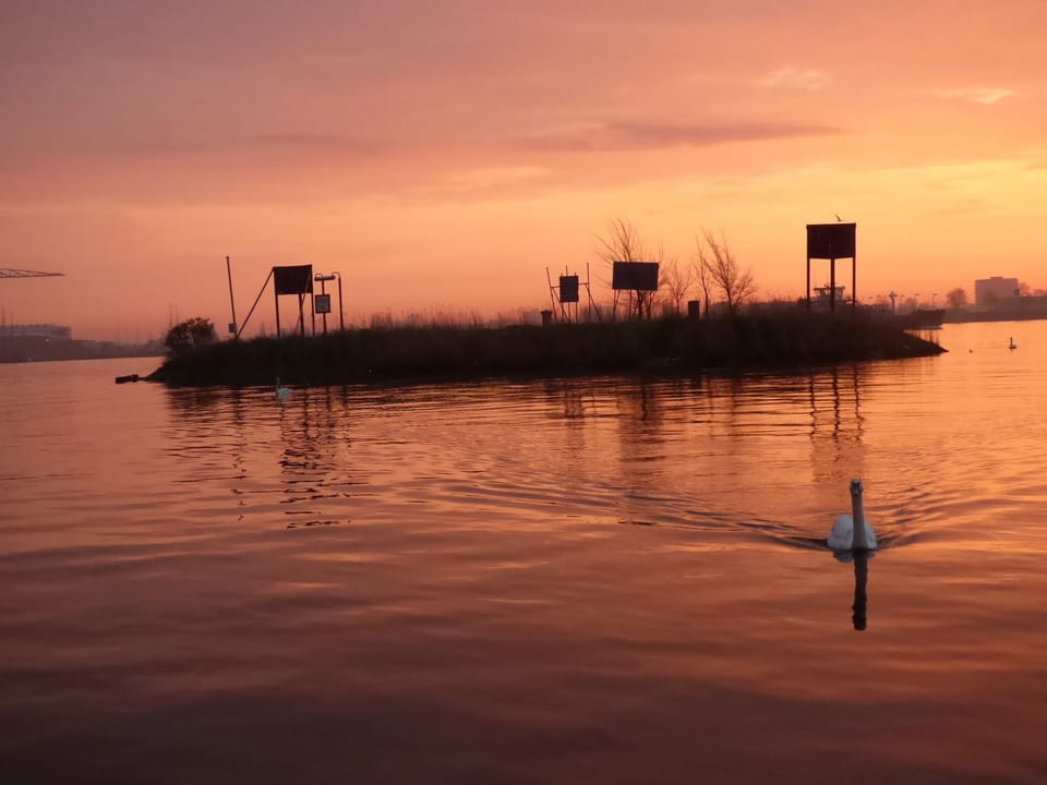 Lake