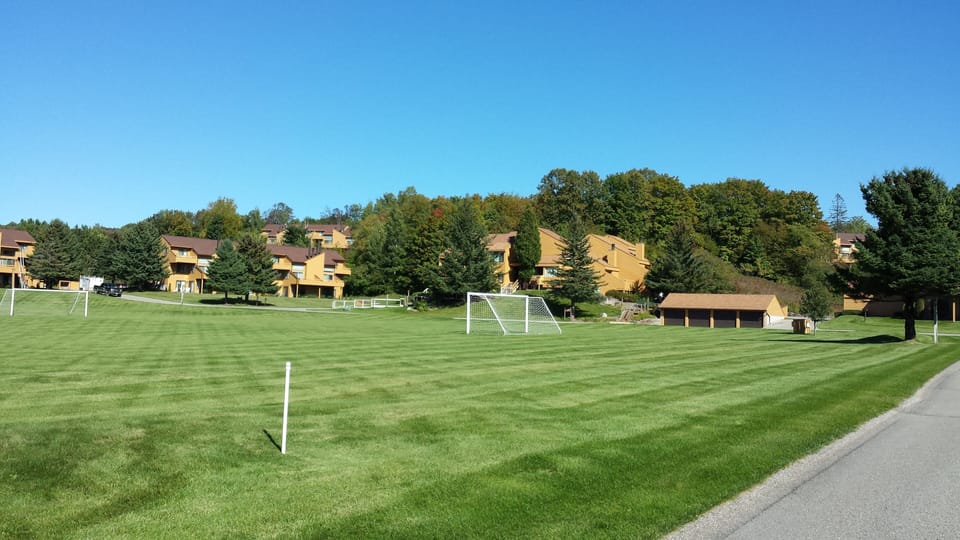 Play Field