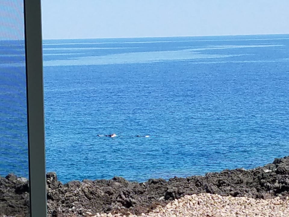View from table, note snorklers swimming by.  We are at water's edge !